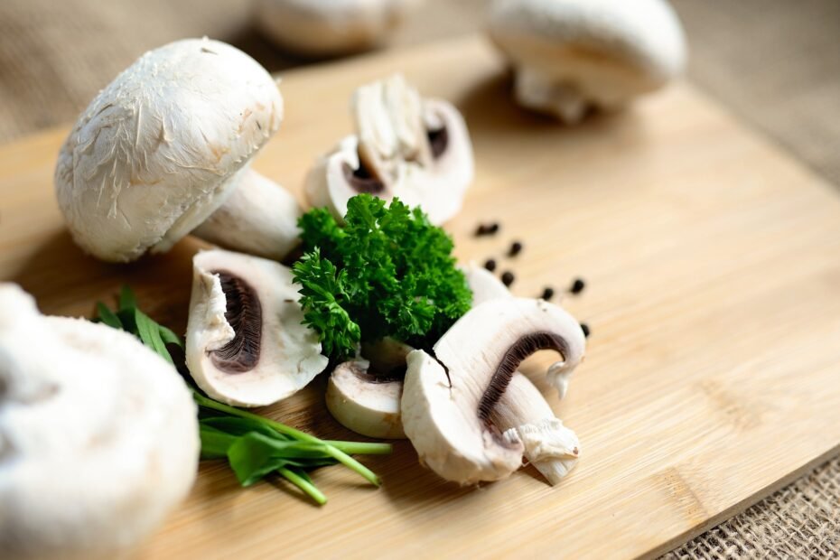 mushroom elixir health benefits